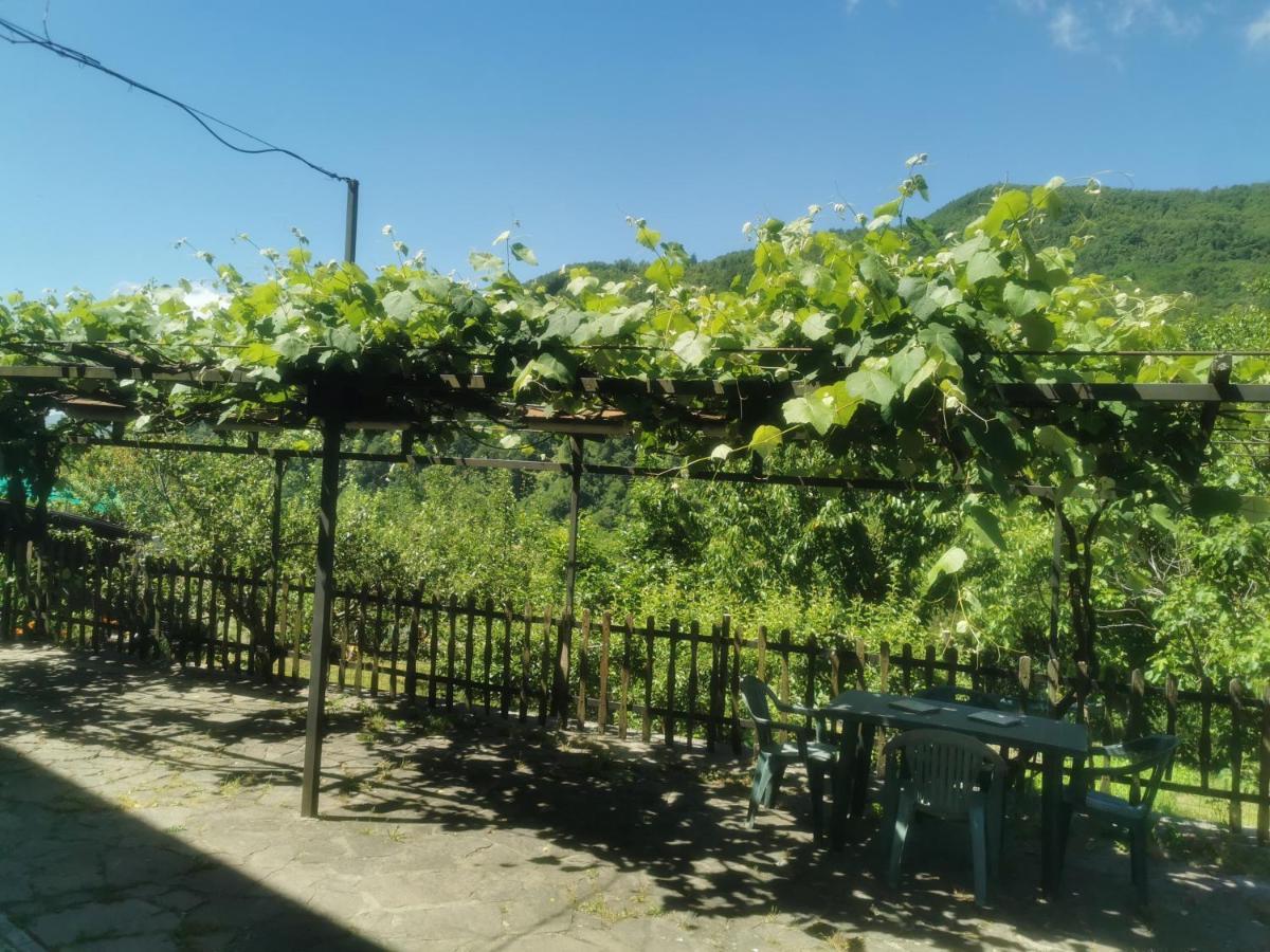 سان مارسيلو بيستويسي Appartamento Nel Verde المظهر الخارجي الصورة